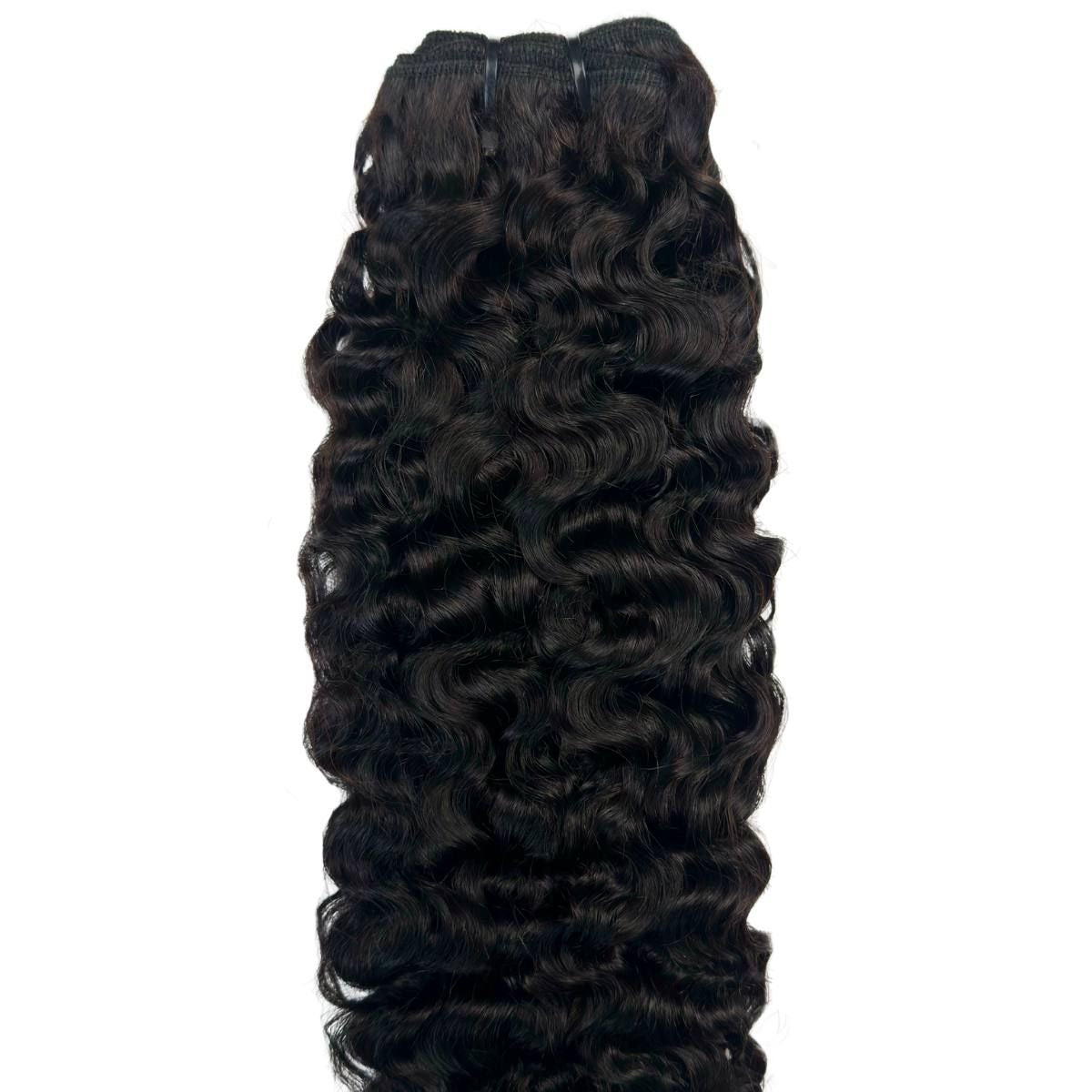 Burmese Curly
