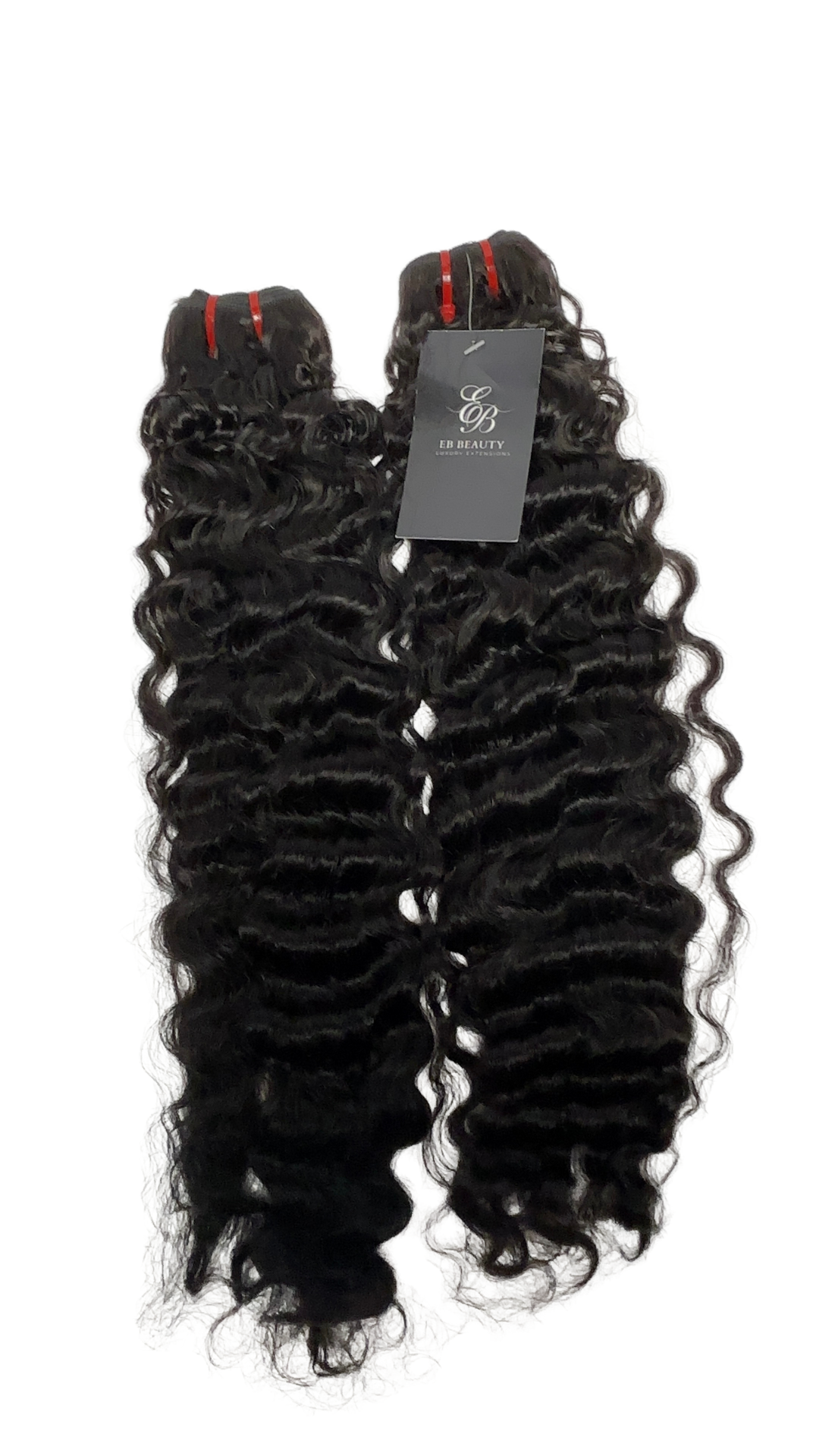 Burmese Curly