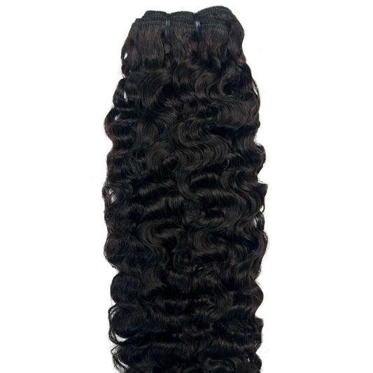 Burmese Curly